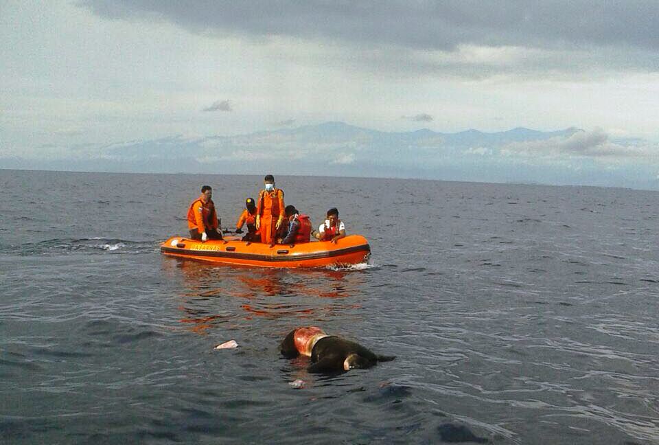 Lima Hari Hilang, Nelayan Ditemukan Tewas Mengapung di Teluk Bone