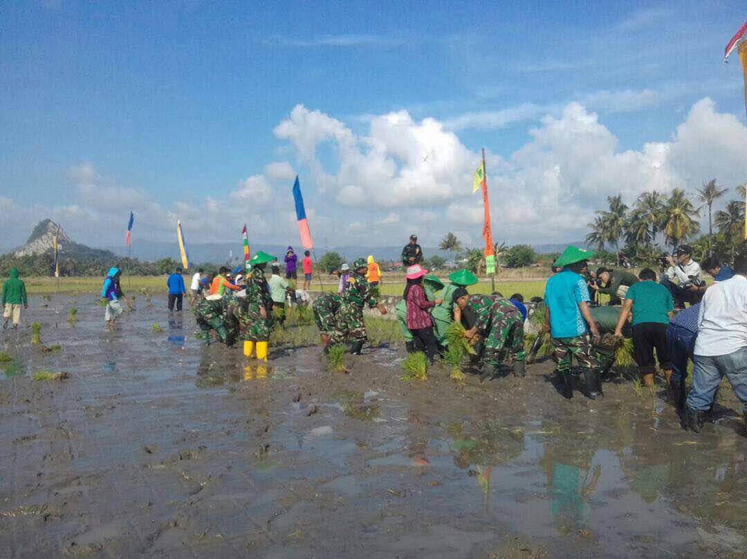 Pusterad: Sidrap Pertahankan Prestasi Sebagai Lumbung Beras