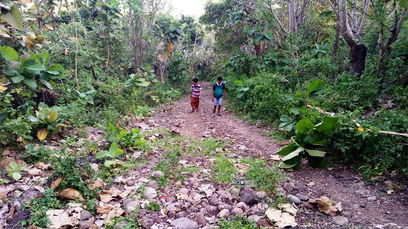 Jalan Rusak Parah, Goa Kalelawar Parepare Sepi Pengunjung Jalan Rusak Parah, Goa Kalelawar Parepare Sepi Pengunjung