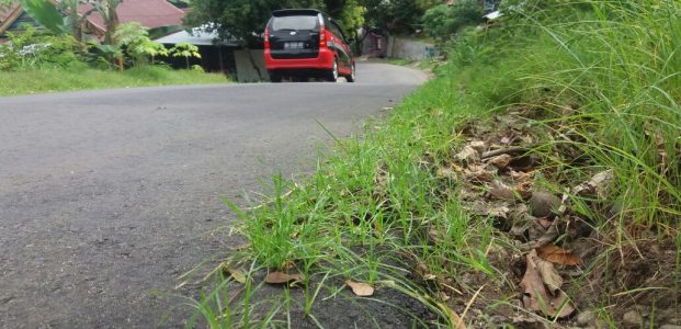 Aspal Kesuma Timur Ditumbuhi Rumput (Lagi), Komisi III Bilang Memalukan