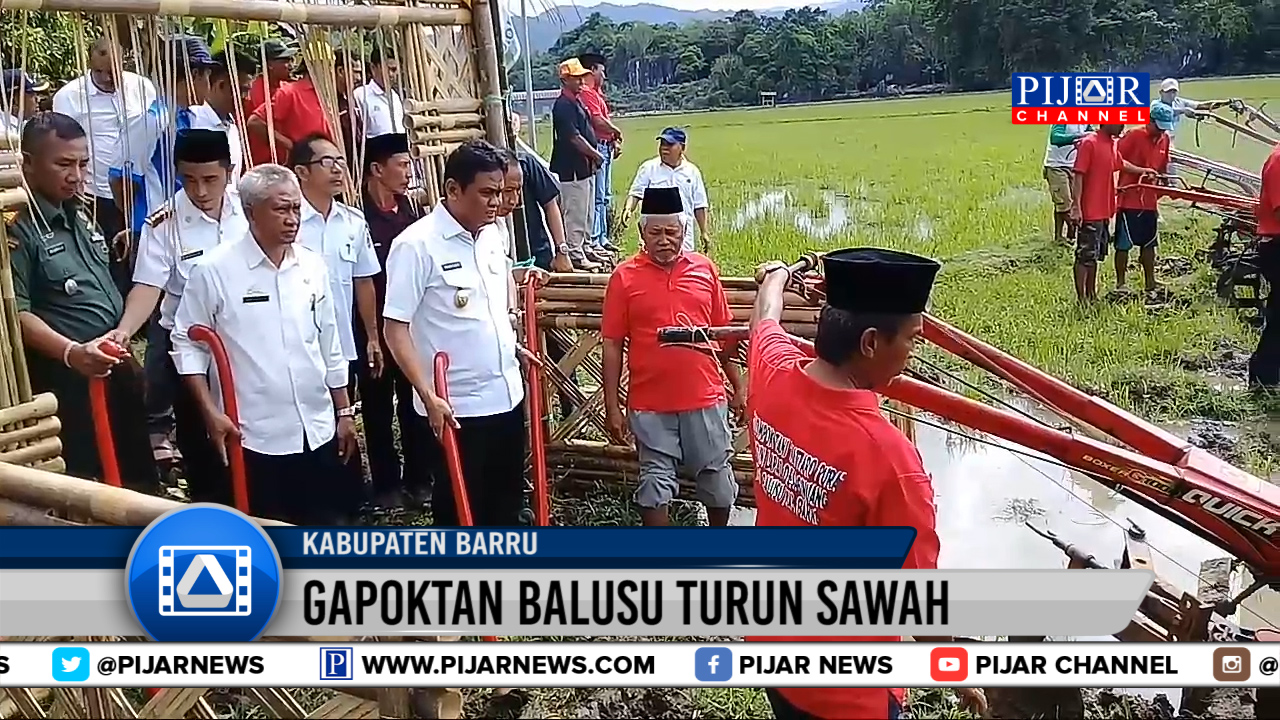Pijar Channel : Gapoktan Balusu Turun Sawah