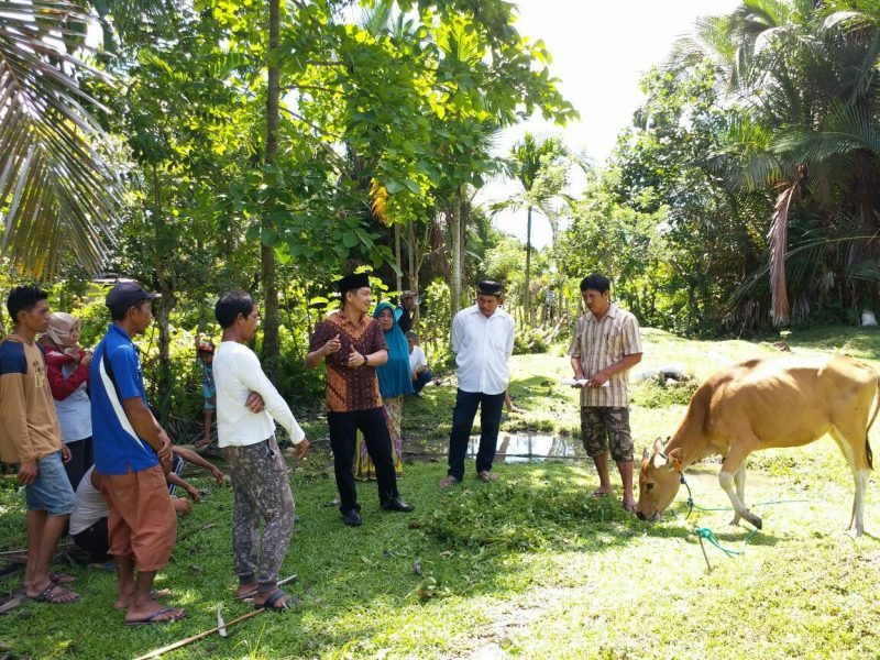 Jauh-jauh ke Desa, Legislator Nasdem Awasi Penyaluran Bantuan Ternak