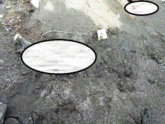 Potongan Kaki Manusia Gemparkan Warga Sumpang Binangae Barru