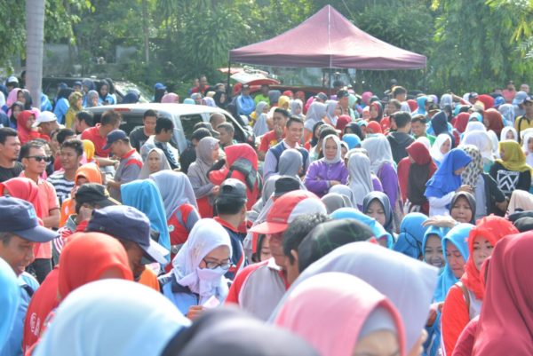 Ribuan Warga Meriahkan Jalan Sehat Sambut HUT Sidrap ke 674