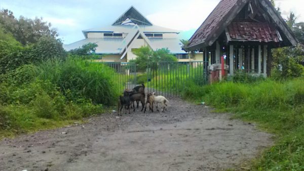Banyaknya Bangunan Pemerintah yang Terbengkalai, Disorot Oleh LSM Mahatidana