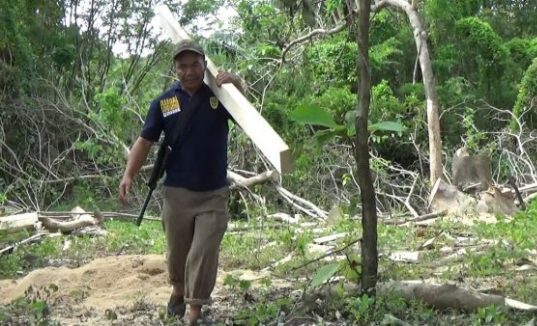 Ditjen) Penegakan Hukum LKH Kementrian Lingkungan Hidup dan Kehutanan, wilayah Sulsel tentang illegal logging