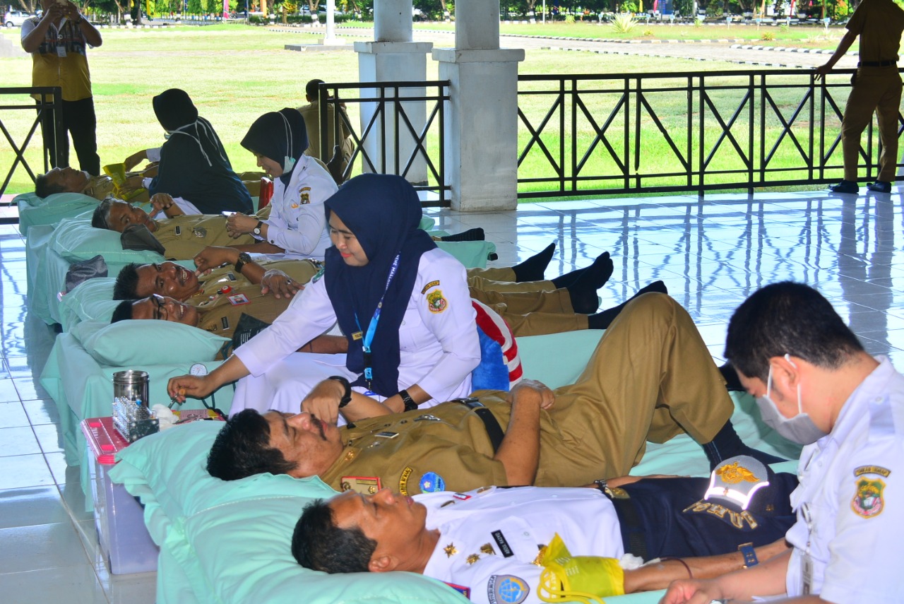 Jelang HUT Sidrap ke-675, ASN Kumpul 79 Kantong Darah