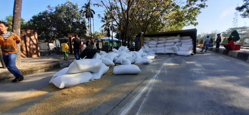 Ini Penyebab Truk Pengangkut Gabah Terguling di Barru