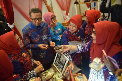 Pamerkan Produk Black Garlic, Gubernur Puji Stan Dekranasda Sidrap