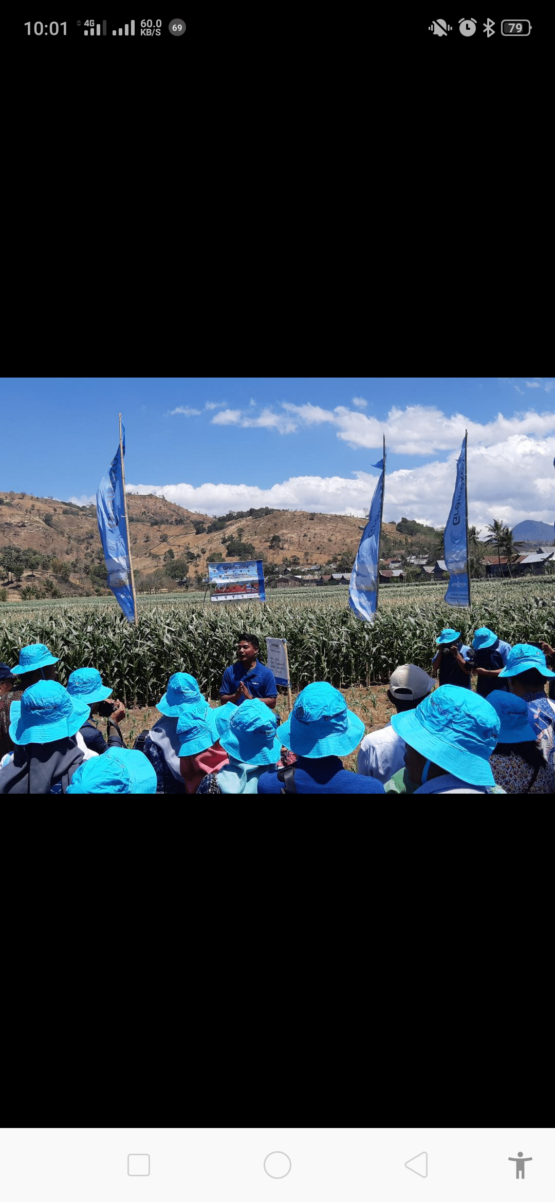 Benih jagung hibrida NK 7328 (NK Sumo) merupakan salah satu benih hibrida unggulan hasil pemuliaan oleh peneliti Syngenta yang berada di Desa Pencong, Kecamatan Biringbulu, Kabupaten Gowa, Rabu, 2 Oktober 2019.