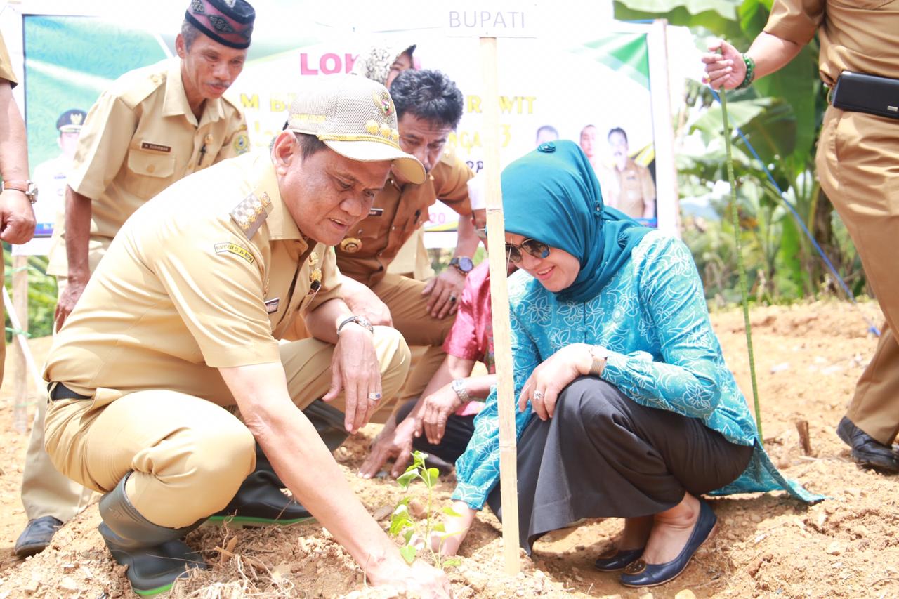 Barru Dapat Alokasi Rp5,3 Miliar untuk Penguatan Tanaman Hortikultura