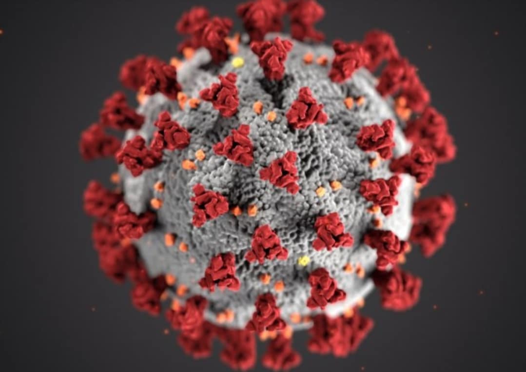 Alhamdulillah, Empat Pasien Covid-19 di Sulsel Dinyatakan Sembuh