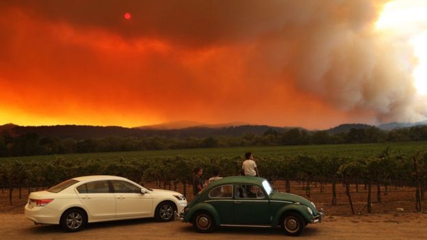 Kebakaran telah membakar beberapa bagian wilayah penghasil anggur California ( GETTY IMAGES)
