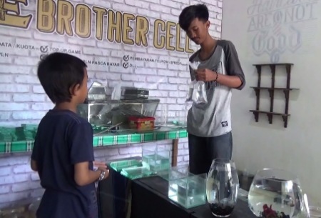 Tak Disangka, Ikan Cupang Bantu Pelajar Parepare Ini Bisa Ikut Belajar Online