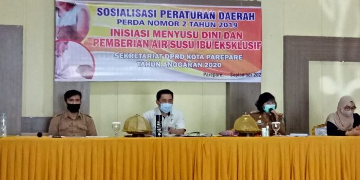 Ketua Komisi II DPRD Parepare Sosialisasikan Perda IMD, Minta Instansi Sediakan Ruang Laktasi