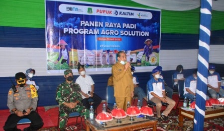 Hadiri Panen Raya Hasil Program Agro Solution, Bupati Sidrap Beri Dukungan