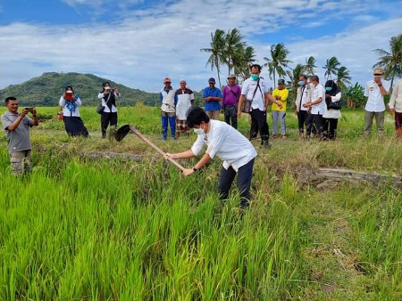 Mulai Masa Tanam, Warga Tonyameng Gelar Tradisi Mappalili