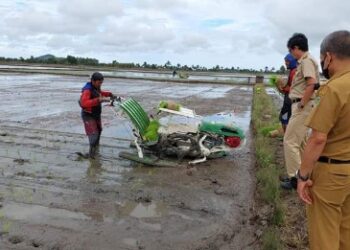 Pastikan Bantuan Digunakan, Andi Tjalo Kerrang Pantau Penggunaan Transplanter