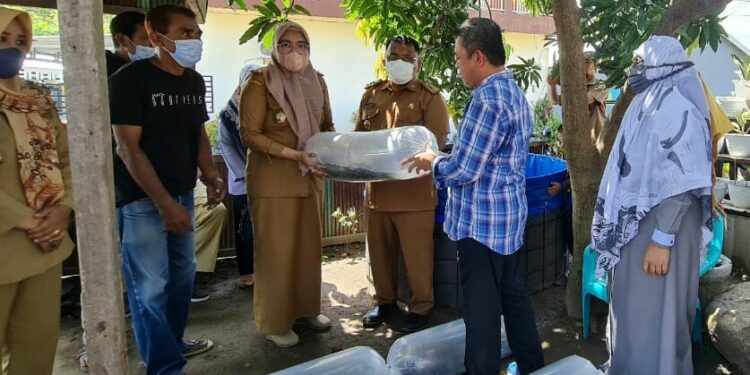 Dampingi Legislator Serahkan Bantuan Bibit Ikan Lele, Begini Harapan Kadis PKP Parepare