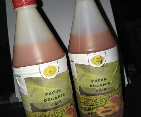 Siswa SMA 10 Pinrang Sulap Limbah Buah jadi Pupuk Organik