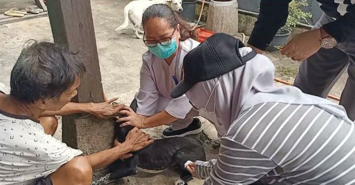 Hari Rabies Sedunia, Dinas PKP Parepare Lakukan Vaksinasi Hewan Peliharaan Hari Rabies Sedunia, Dinas PKP Parepare Lakukan Vaksinasi Hewan Peliharaan
