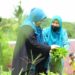 Erna Rasyid Taufan Puji Kader PKK Yang Luangkan Waktu Tanam Sayur dan Buah di Pekarangan Rumah Erna Rasyid Taufan Puji Kader PKK Yang Luangkan Waktu Tanam Sayur dan Buah di Pekarangan Rumah
