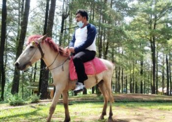 Seimbang dan Berimbang