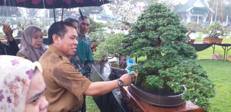 Hujan-hujan Wabup Sidrap Buka Pameran dan Kontes Bonsai “Sipakario” Hujan-hujan Wabup Sidrap Buka Pameran dan Kontes Bonsai “Sipakario”