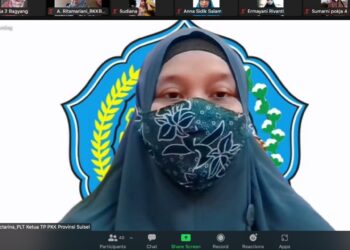 Buka Webinar Sosialisasi PPK dan Aplikasi ELSIMIL, Naoemi Octarina Harap Kader Dasawisma Aktif dalam Pencegahan Stunting