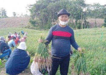 Akhiri Polemik, Bupati Enrekang juga Tegaskan 5 Hal Ini untuk Masalah PTPN XIV