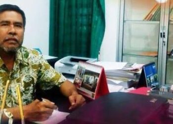 Prof Armin: Pemerintahan tak Pincang Tanpa Wagub