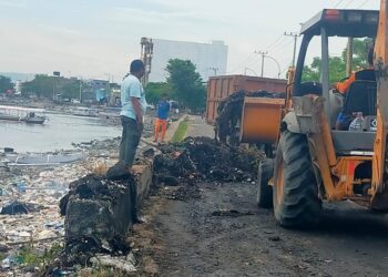 DLH Bersihkan Sampah di Tanggul Cempae