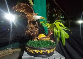 BKP Pamerkan Bonsai Kelapa Hasil Perpaduan Limbah