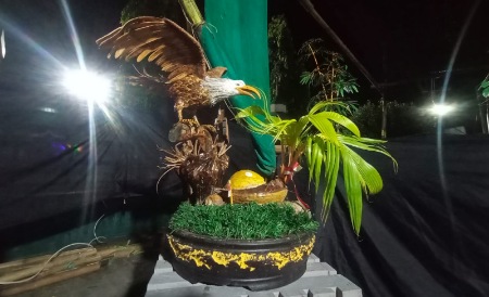 BKP Pamerkan Bonsai Kelapa Hasil Perpaduan Limbah BKP Pamerkan Bonsai Kelapa Hasil Perpaduan Limbah