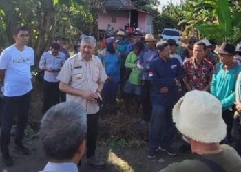 Bersama Kelompok Tani, Bupati Pinrang Gerdal Hama Tikus