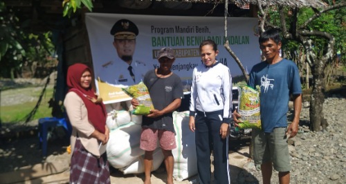 Pemprov Sulsel Salurkan Bantuan Benih Andalan untuk 1000 hektar Lahan di Luwu Pemprov Sulsel Salurkan Bantuan Benih Andalan untuk 1000 hektar Lahan di Luwu