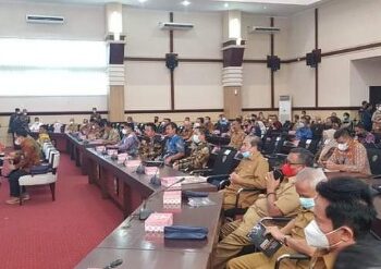 Bupati Sidrap Ikuti Sosialisasi Undang-undang HKPD Kemenkeu