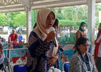 Peringati HUT ke 71, IBI Pinrang Cegah Stunting dengan Lomba Balita Sehat