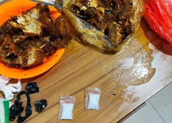 Satgas BKO Kemenkumham Sulsel Endus Barang Diduga Sabu yang Disembunyikan Dibalik Sayur dan Ikan