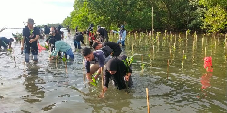 Masyarakat pesisir  menanam mangrove di Kelurahan Borimasunggu, Kecamatan Labbakkang, Kabupaten Pangkep