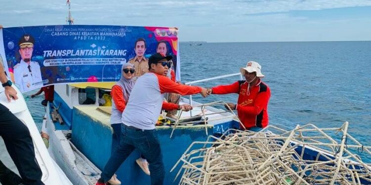 Transplantasi terumbu karang dengan kerangka spider yang dilakukan di Pulau Satanga Kabupaten Takalar, Rabu (10/8/2022)