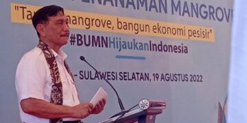 Luhut Tak Segan Bakal Pecat Pimpinan Pelabuhan Jika Tolak Tanam Mangrove