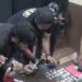Operasi, Satnarkoba Polres Parepare Ciduk Pelaku Lahgun Sabu