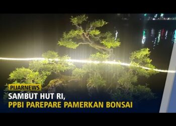 Sambut HUR RI, PPBI Parepare Pamerkan Bonsai