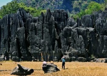 Unesco Tetapkan Geopark Maros Pangkep sebagai Geopark Dunia