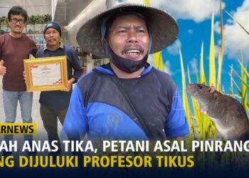 Kisah Anas Tika Petani Pinrang Terima Penghargaan Nasional