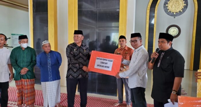 Pemprov Sulbar Serahkan 18 Sapi Kurban Pemprov Sulbar Serahkan 18 Sapi Kurban