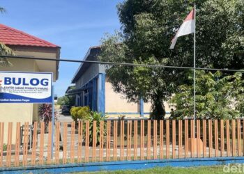 Hilangnya 500 Ton Beras, Polisi Periksa Rekanan Bulog Pinrang