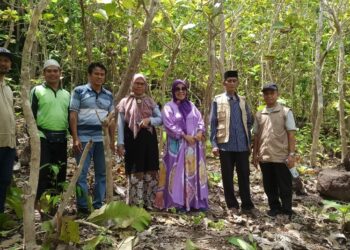 Pengurus ICMI Kota Parepare Tinjau Lokasi Tanah Wakaf untuk Area Pendidikan