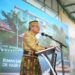 Wali Kota Parepare, Dr HM Taufan Pawe